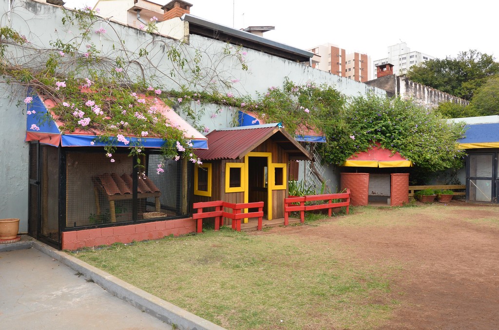 Thumbnail da galeria Kids