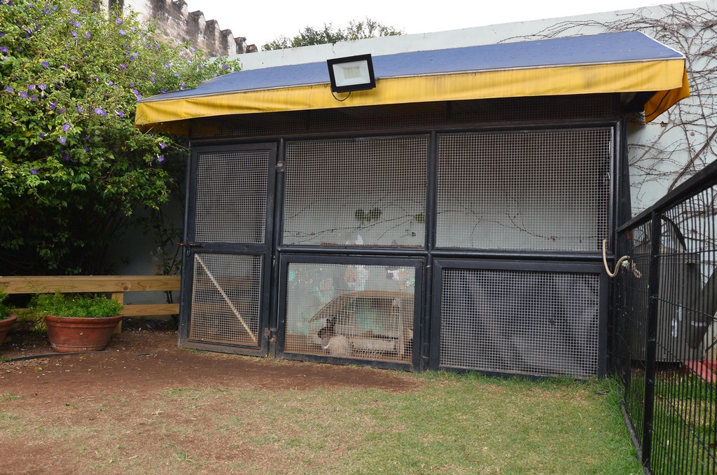 Thumbnail da galeria Kids