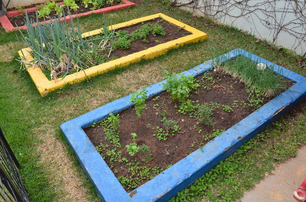 Thumbnail da galeria Kids