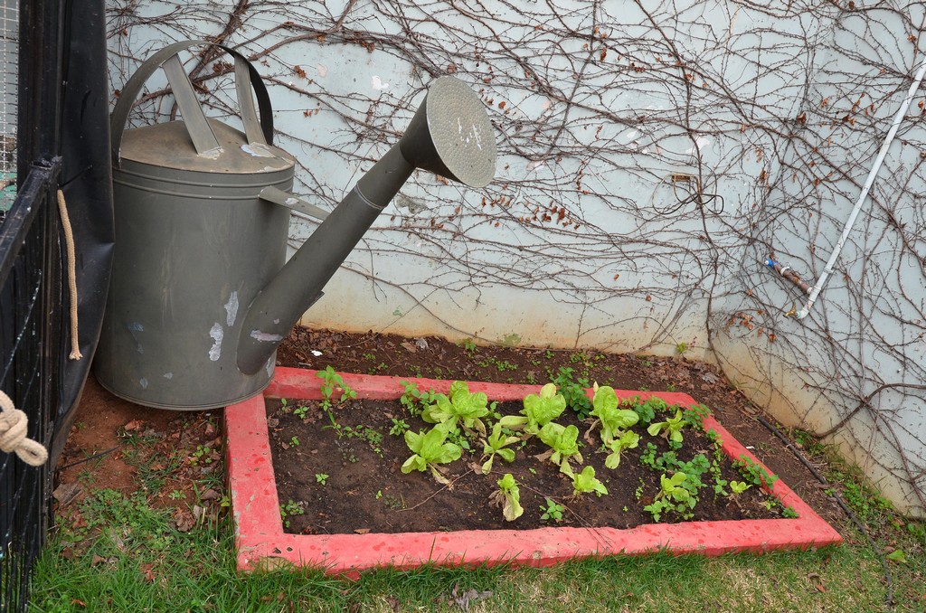 Thumbnail da galeria Kids