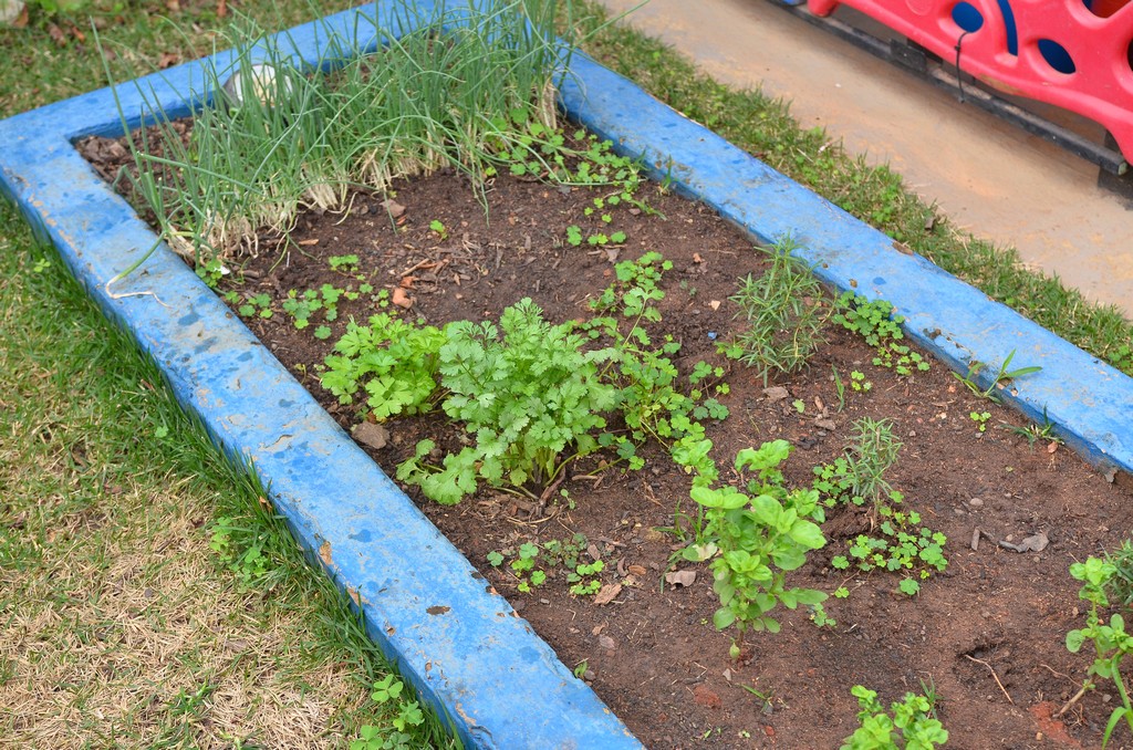 Thumbnail da galeria Kids